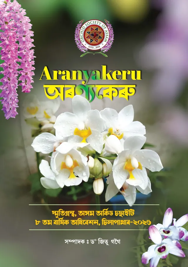 Cover of Aranyakeru e-magazine