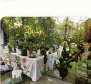 Orchid propagation workshop table setup