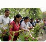 Field team documenting wild orchids in nature