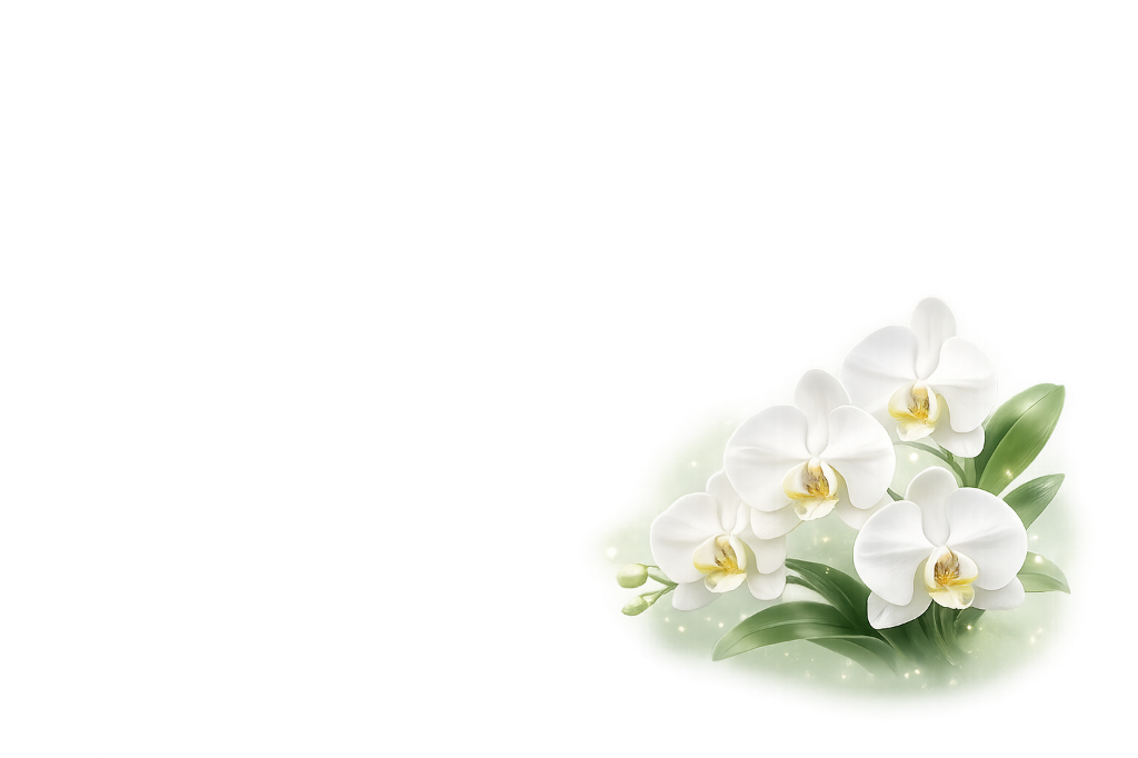 White Orchid Flowers Blooming